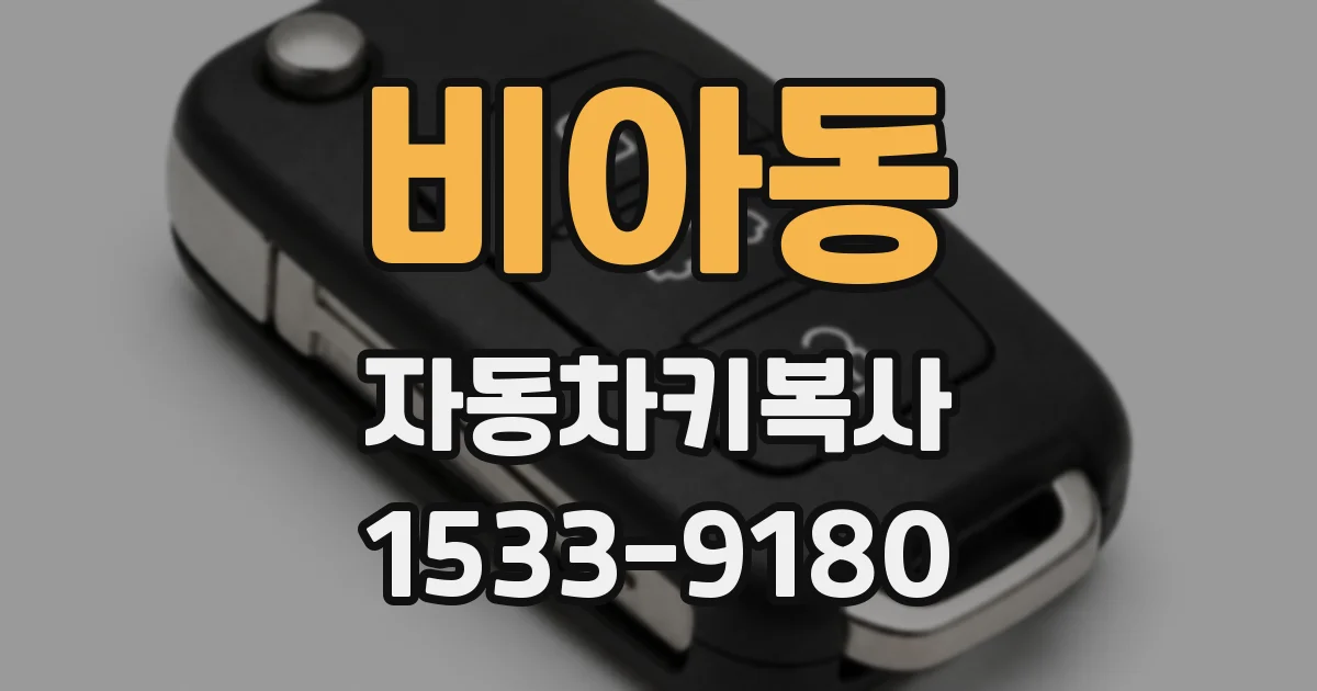 비아동 자동차키복사
