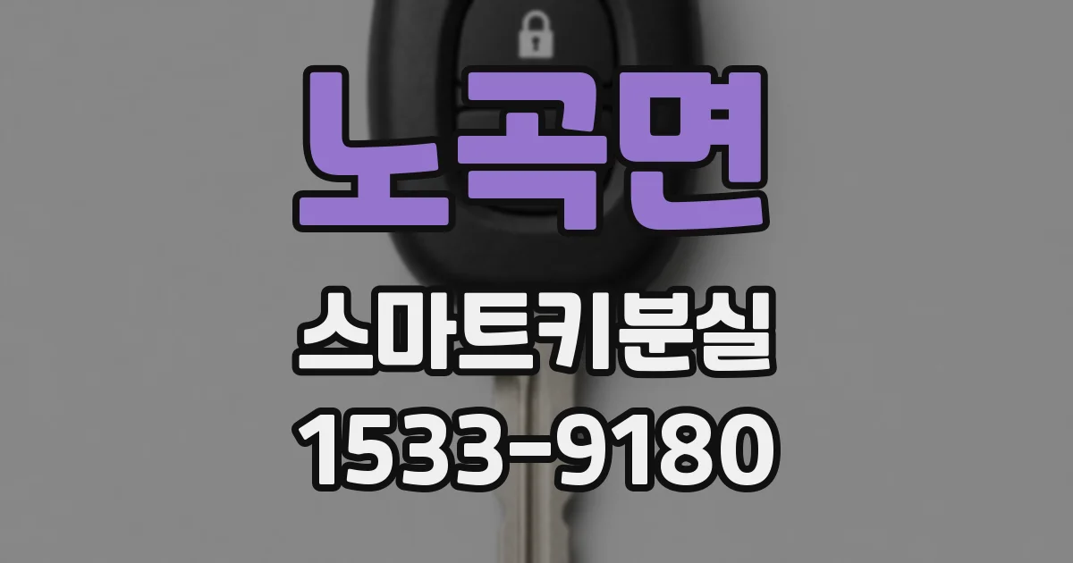 노곡면 스마트키분실
