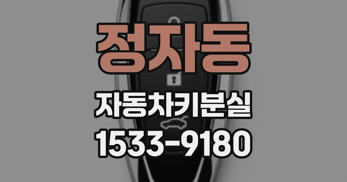 정자동 자동차키분실