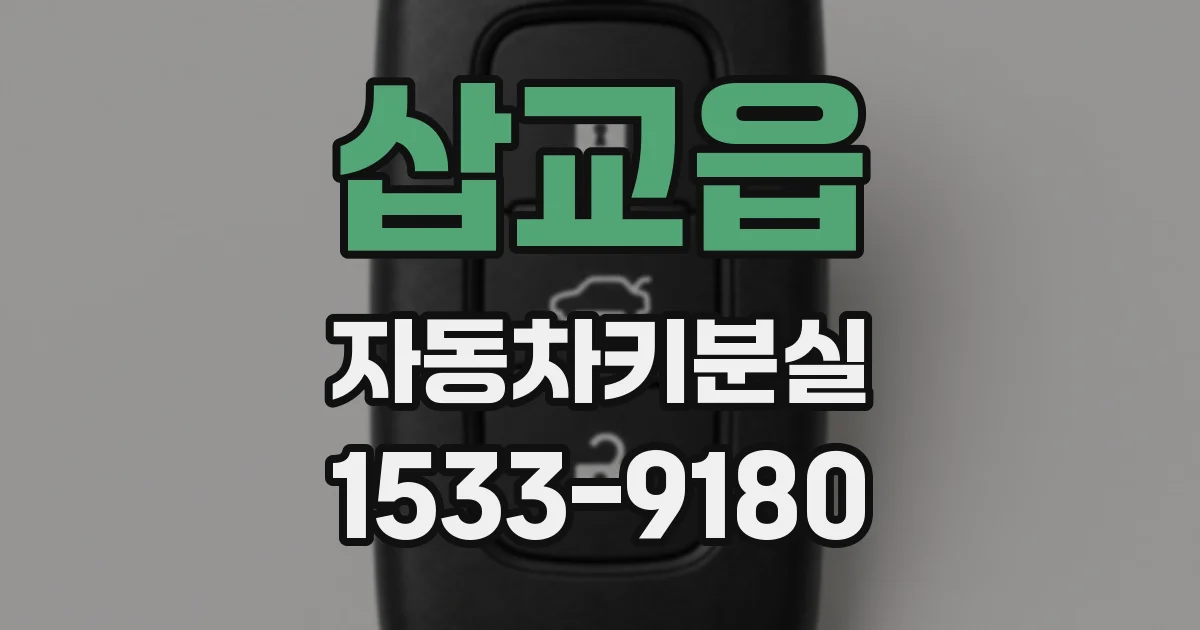 삽교읍 자동차키분실