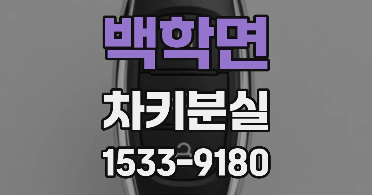 백학면 차키분실