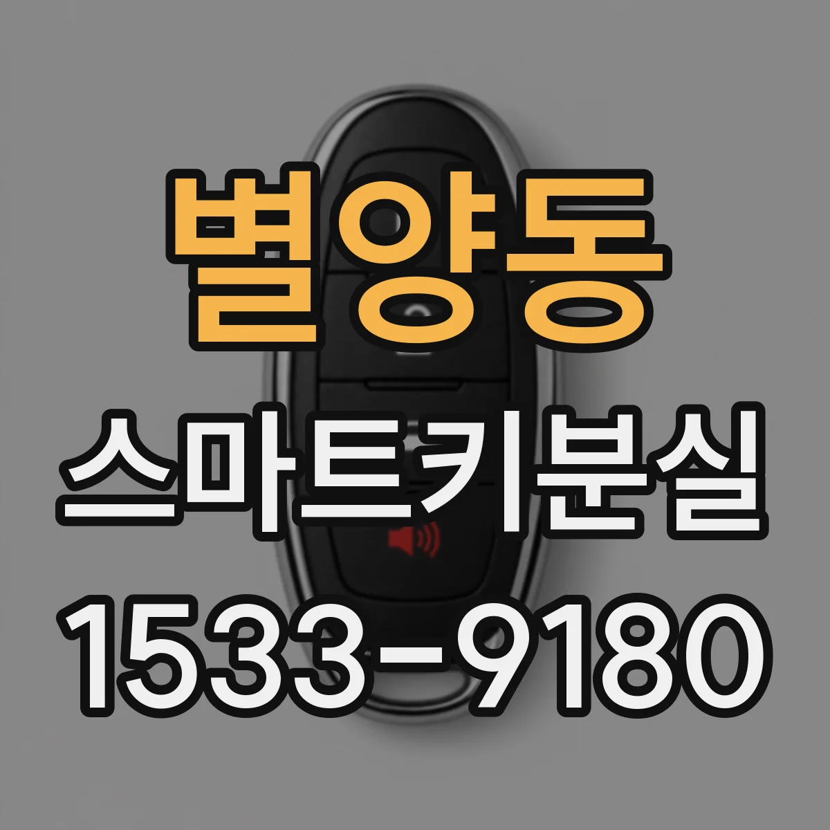 별양동 스마트키분실