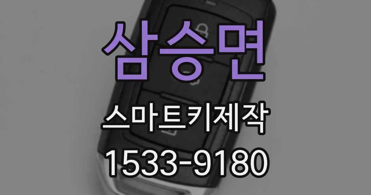 삼승면 스마트키제작