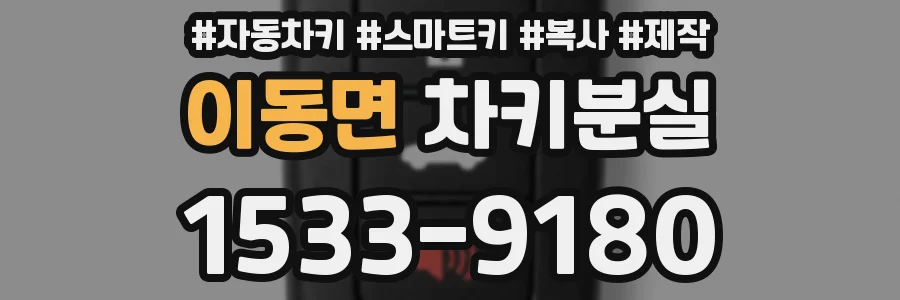 이동면 차키분실
