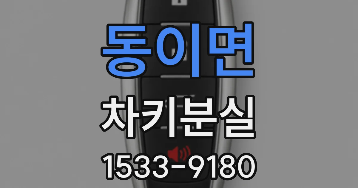 동이면 차키분실