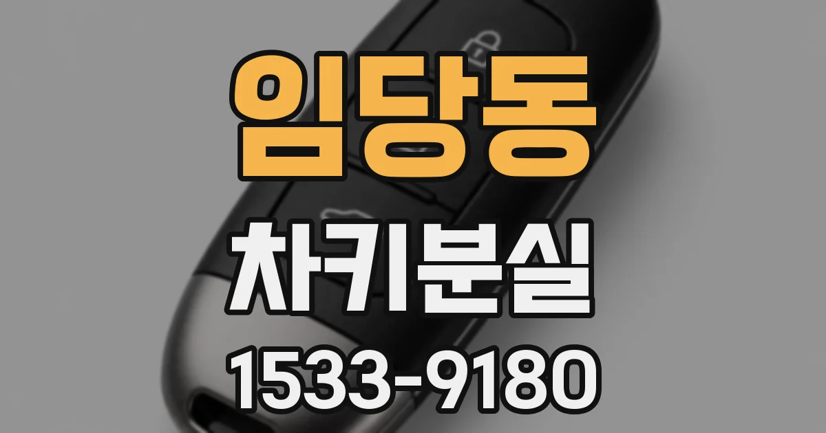 임당동 차키분실