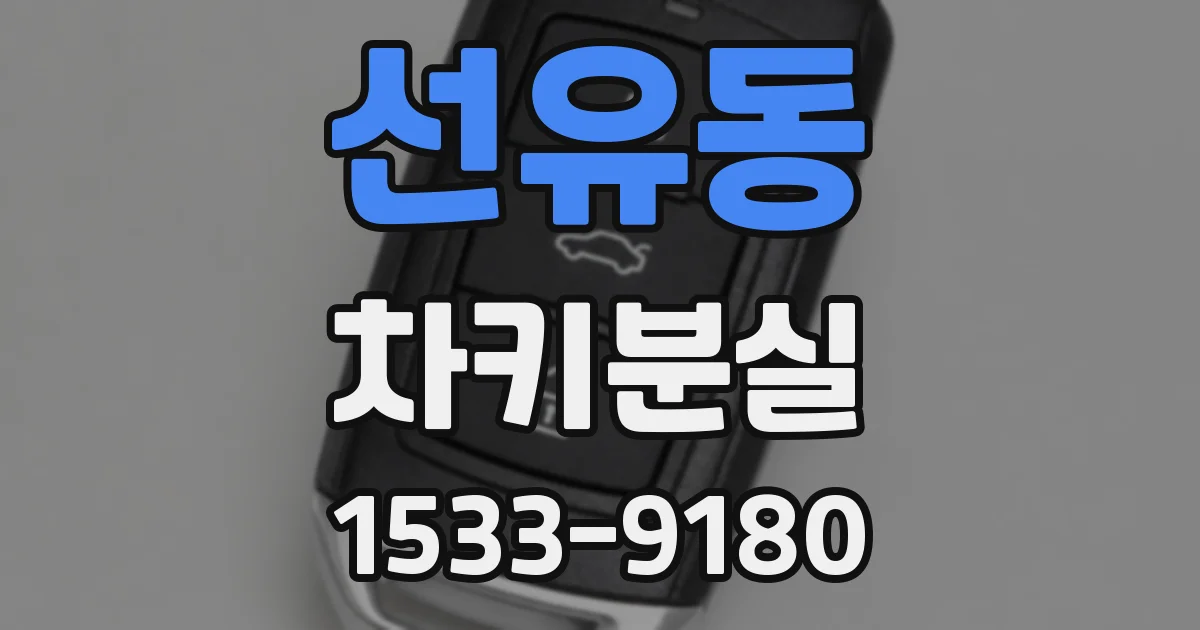선유동 차키분실