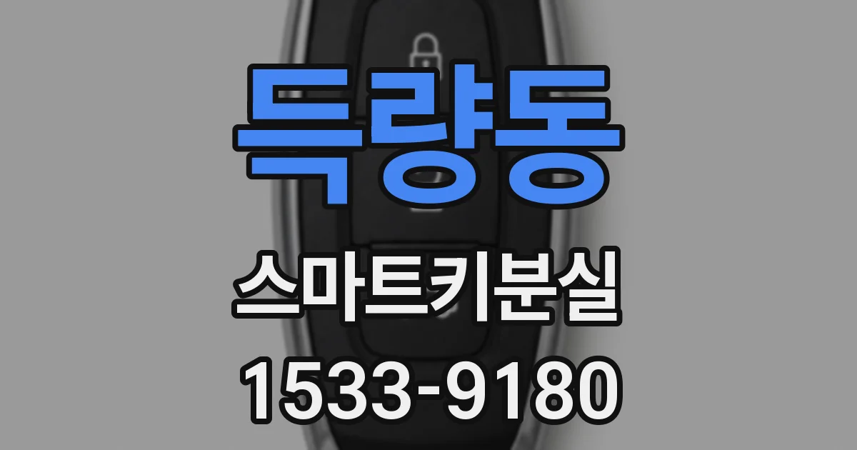 득량동 스마트키분실