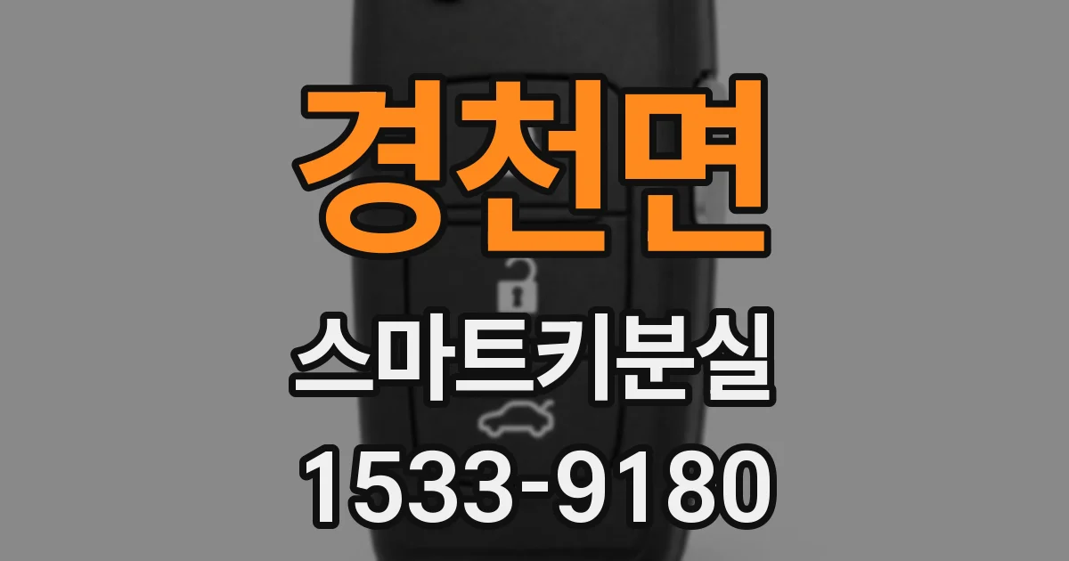 경천면 스마트키분실