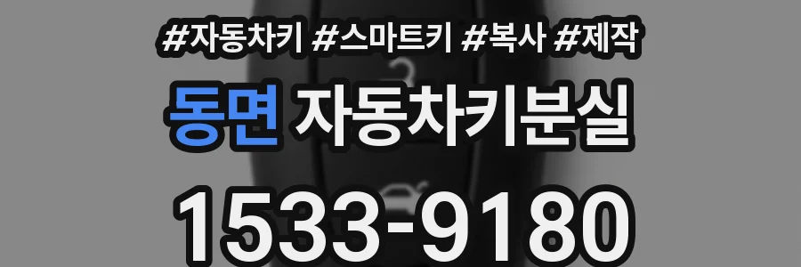 동면 자동차키분실