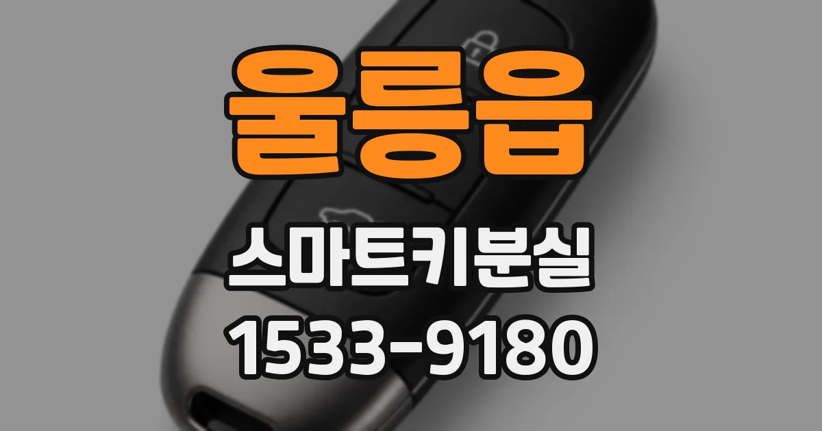 울릉읍 스마트키분실