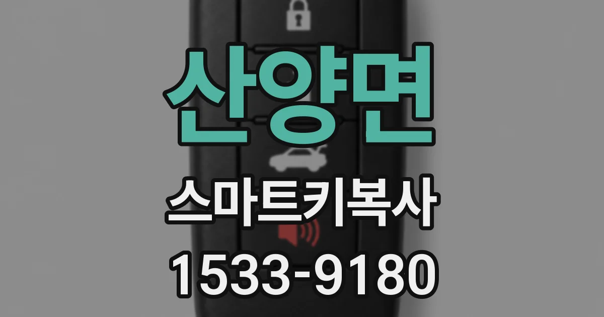 산양면 스마트키복사