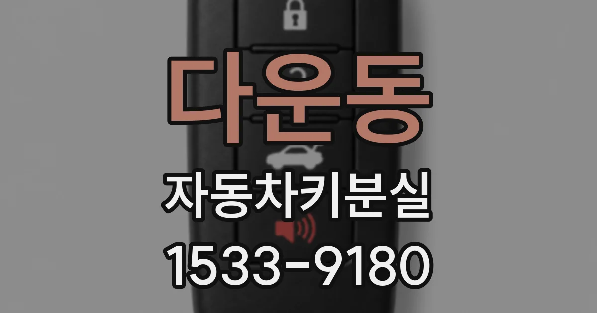 다운동 자동차키분실