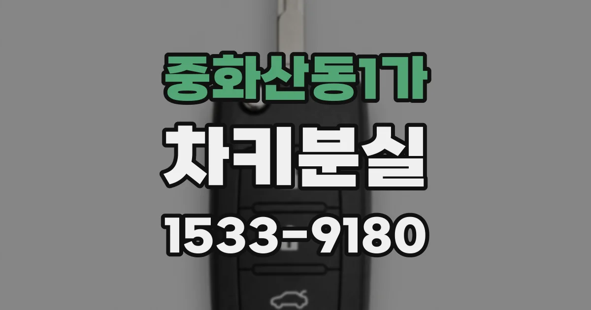 중화산동1가 차키분실