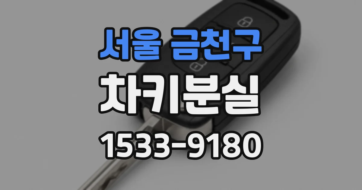 서울 금천구 차키분실
