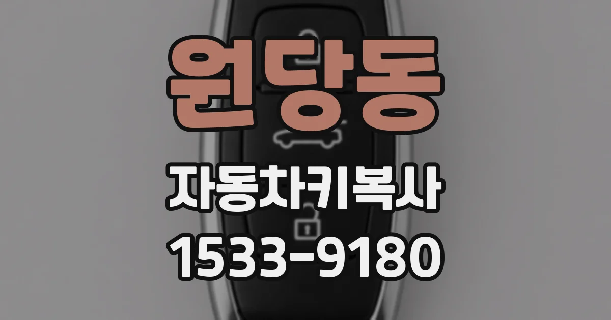 원당동 자동차키복사