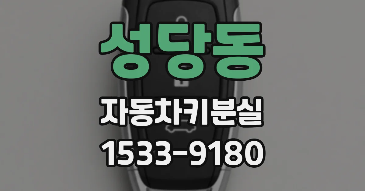 성당동 자동차키분실