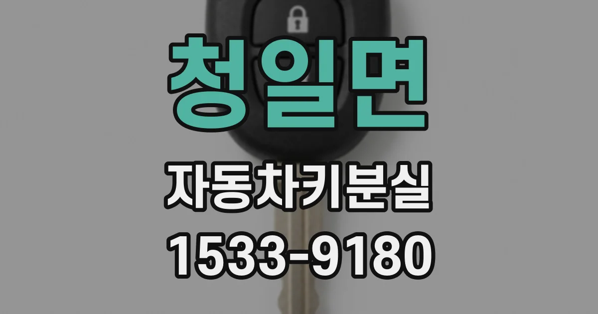 청일면 자동차키분실