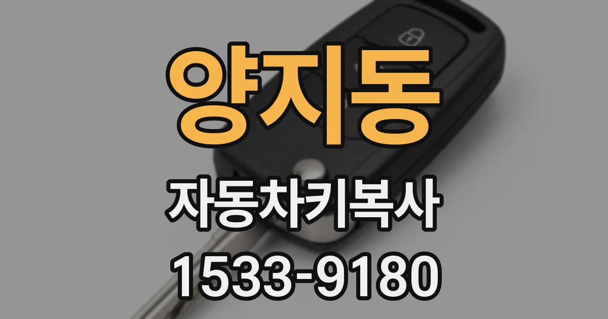 양지동 자동차키복사