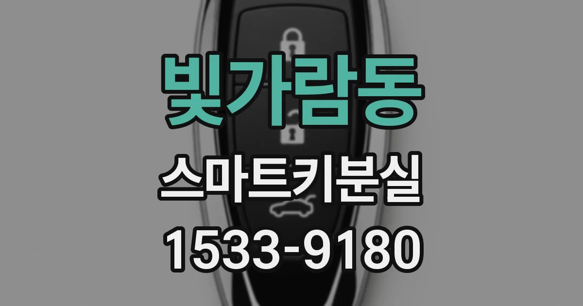 빛가람동 스마트키분실