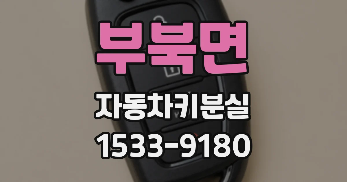 부북면 자동차키분실