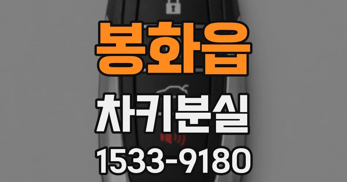 봉화읍 차키분실