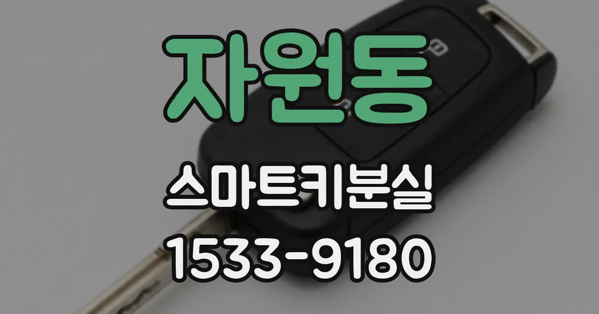 자원동 스마트키분실