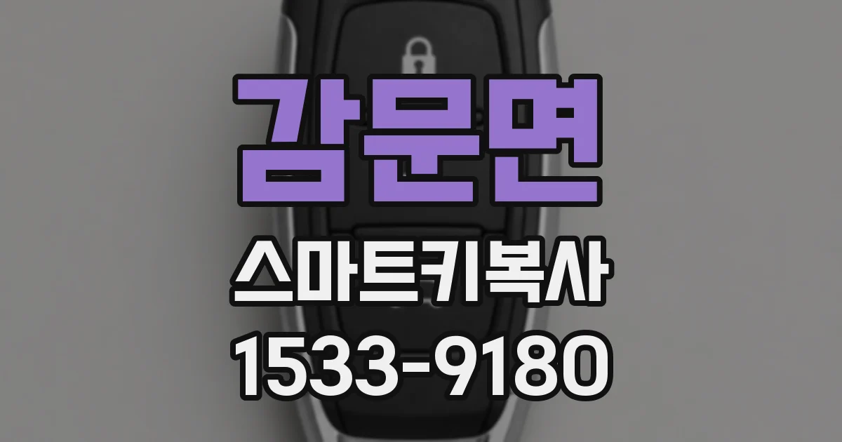 감문면 스마트키복사