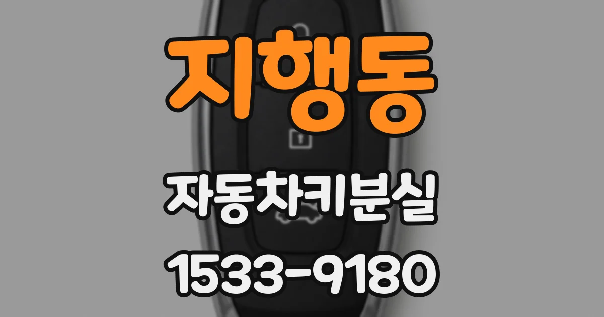 지행동 자동차키분실
