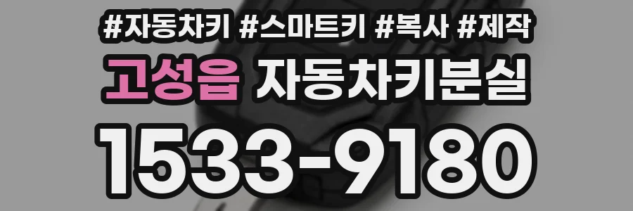 고성읍 자동차키분실
