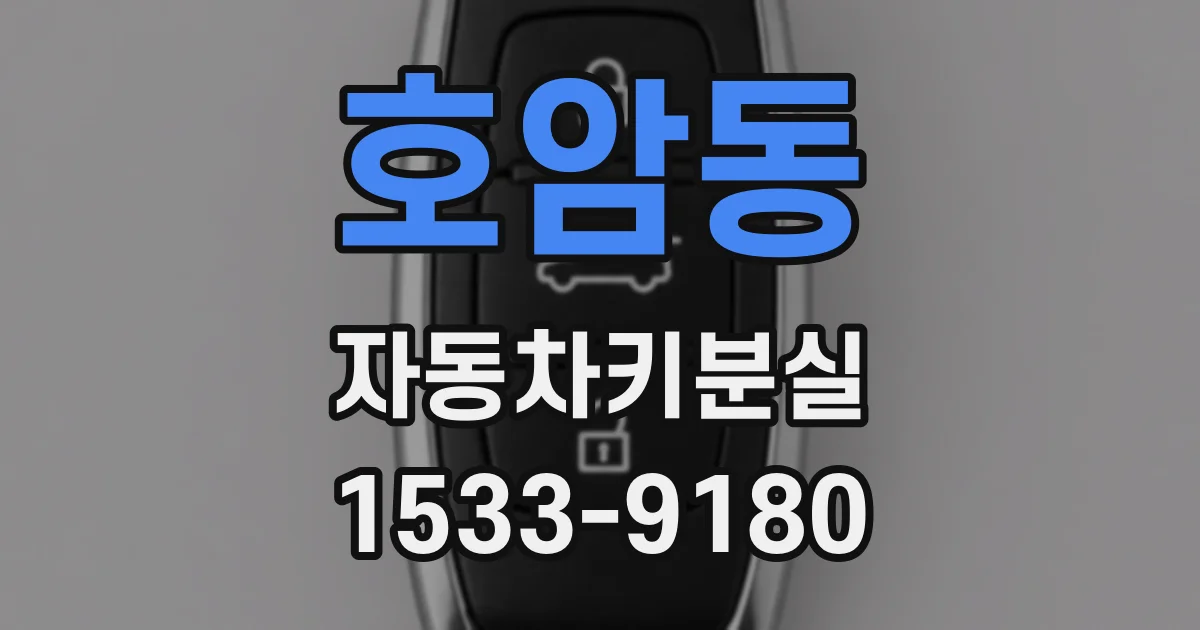 호암동 자동차키분실