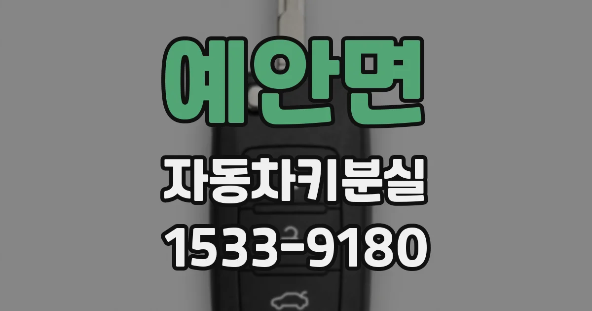 예안면 자동차키분실