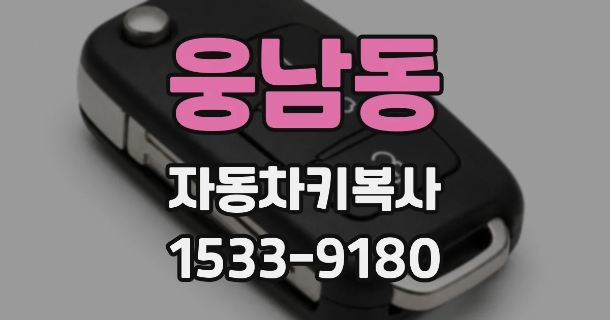 웅남동 자동차키복사