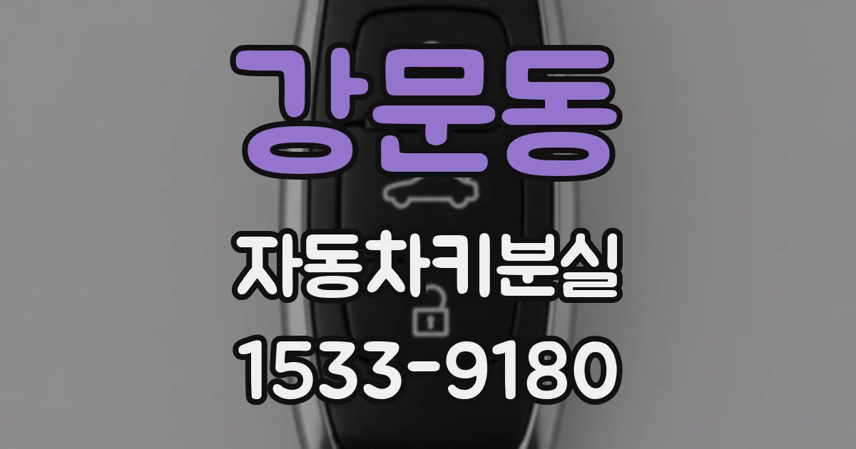 강문동 자동차키분실