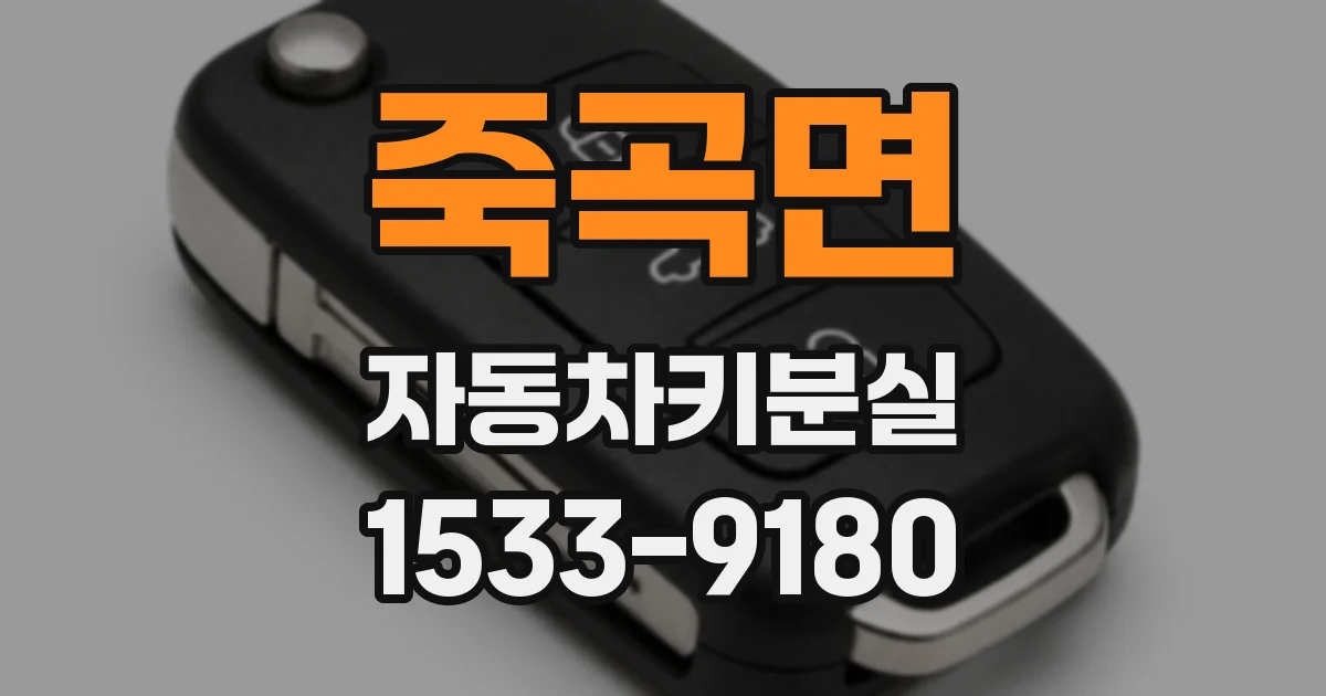 죽곡면 자동차키분실