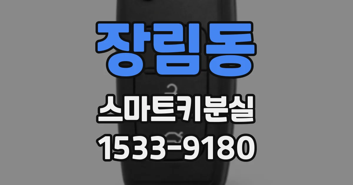 장림동 스마트키분실