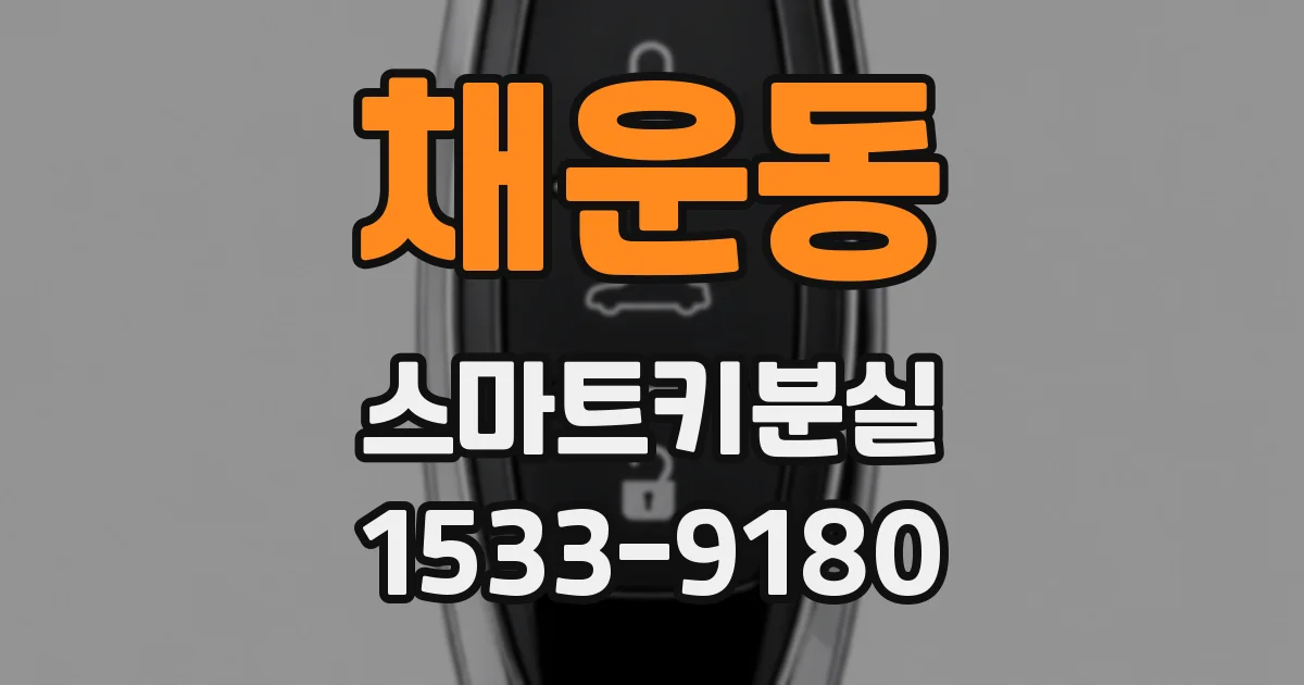 채운동 스마트키분실