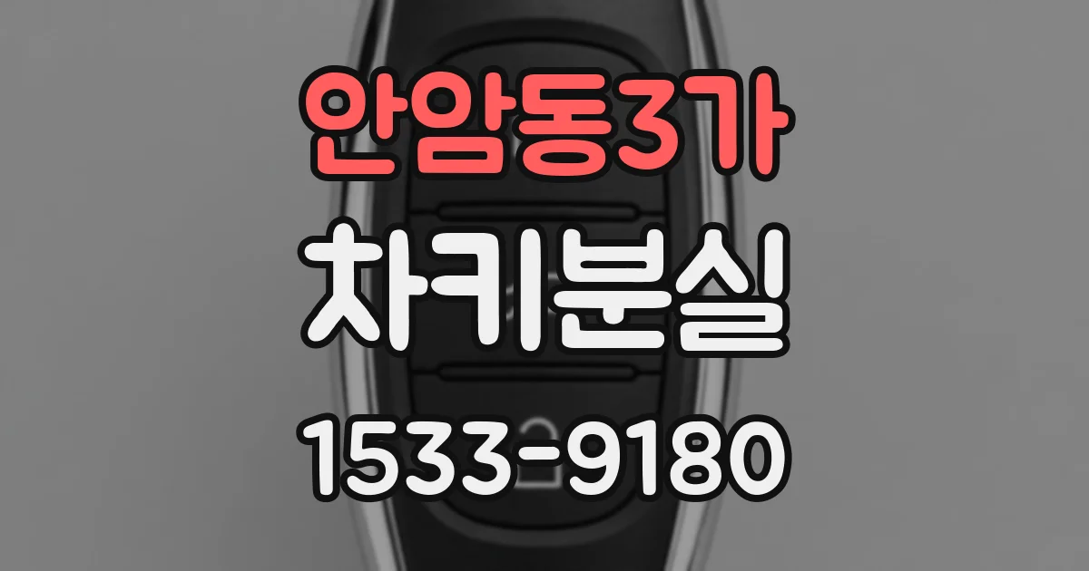 안암동3가 차키분실