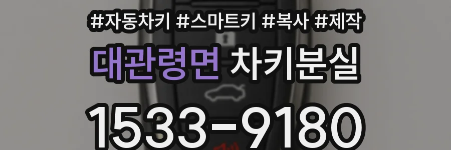 대관령면 차키분실