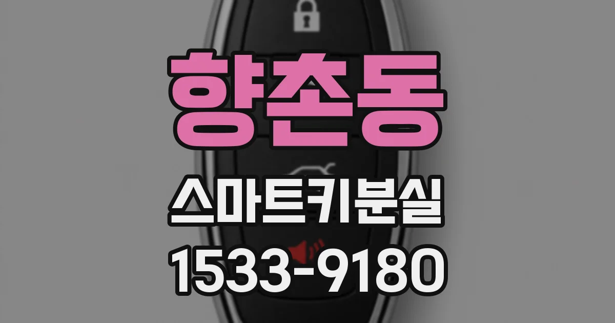 향촌동 스마트키분실