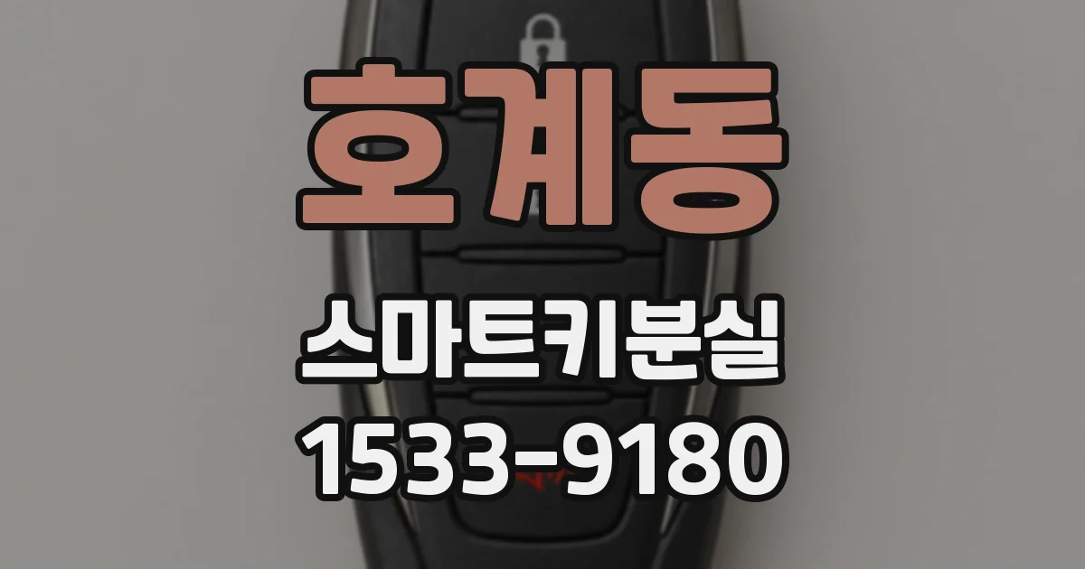 호계동 스마트키분실