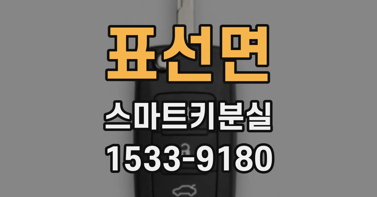 표선면 스마트키분실