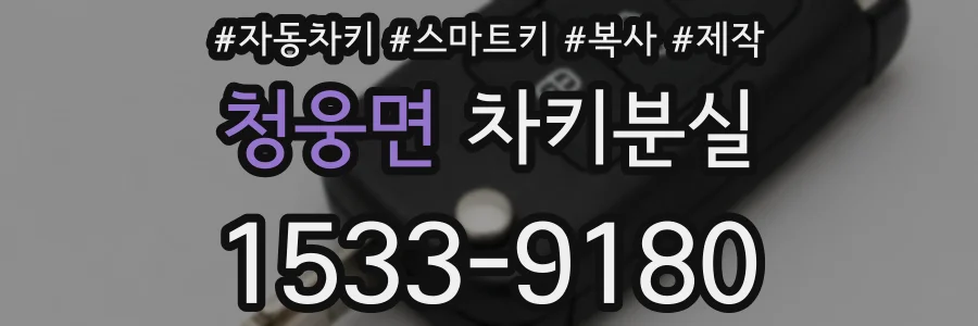 청웅면 차키분실
