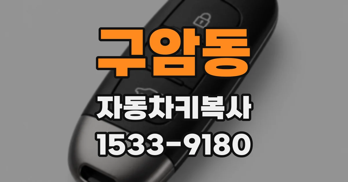 구암동 자동차키복사