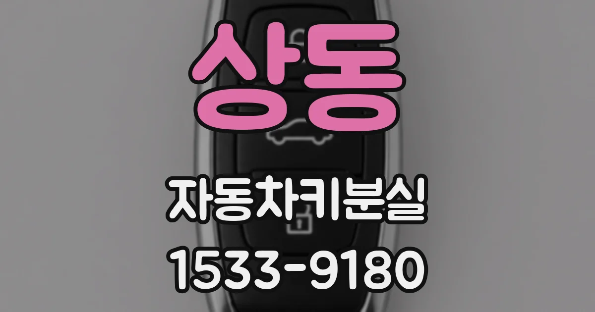 상동 자동차키분실