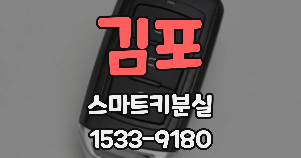김포 스마트키분실