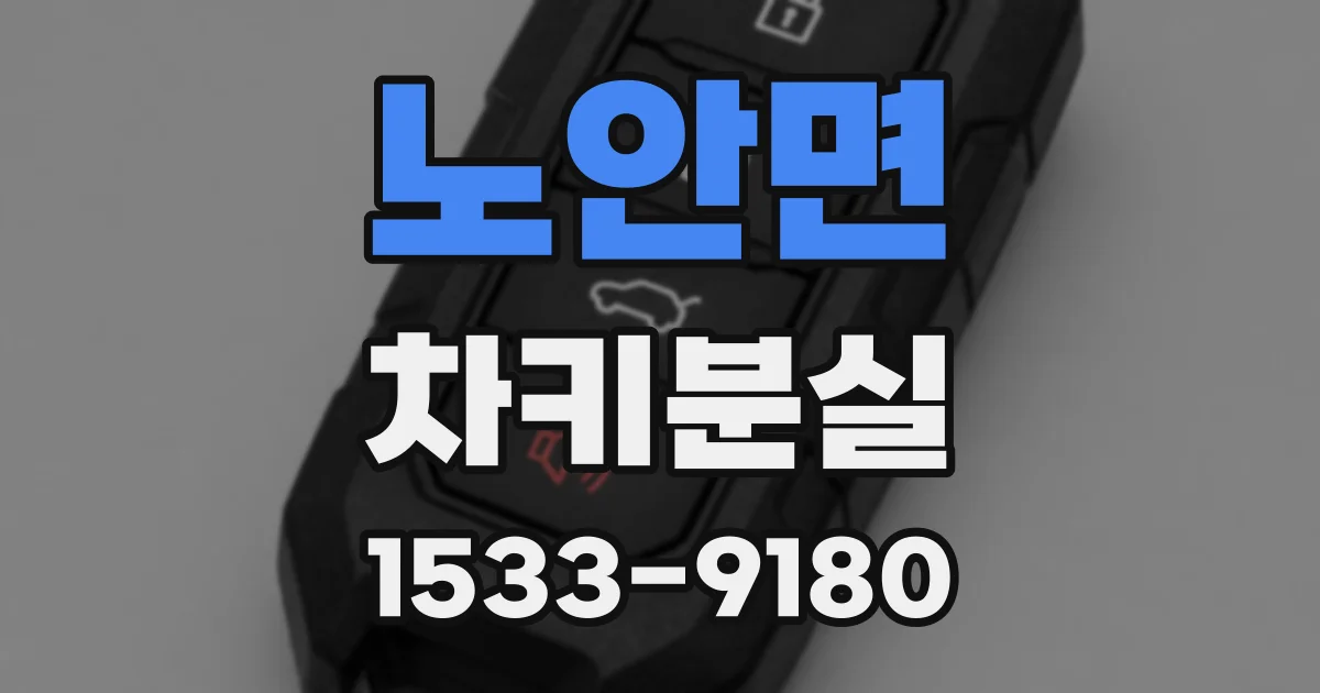 노안면 차키분실