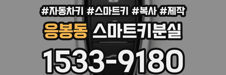 응봉동 스마트키분실
