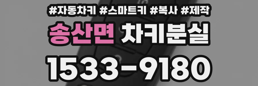 송산면 차키분실