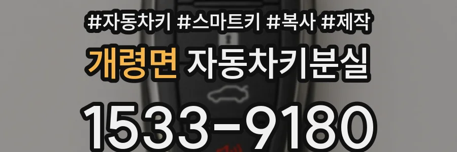 개령면 자동차키분실
